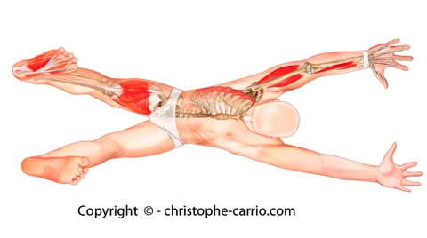 exercice-respiration-carrio-2